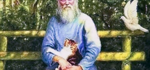 Отец Николай Гурьянов и кот Липочка