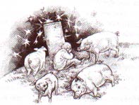 мальчик и поросята