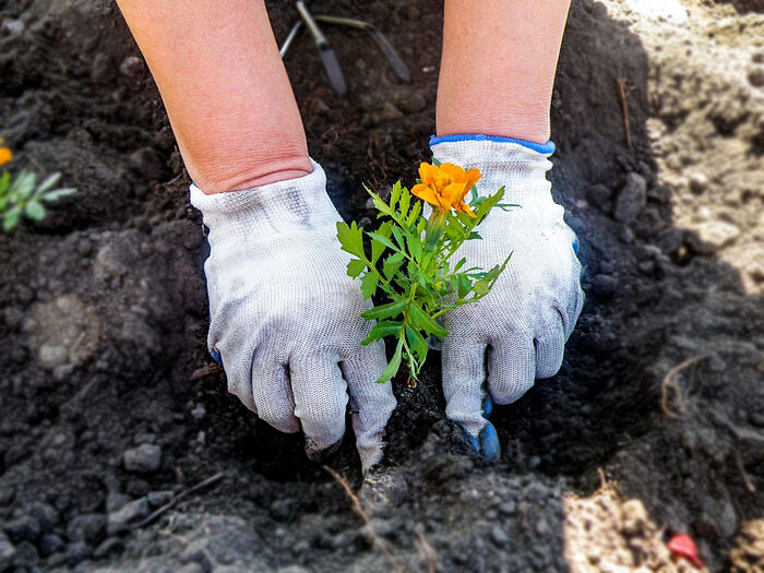 Фото: balvesti.ru